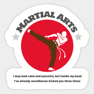 Martial Arts Kick Sticker